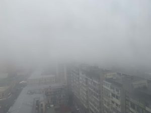 霧の光景